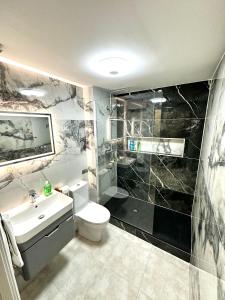都柏林Modern 2Bedroom Oasis near Dublin city centre & Airport的浴室配有白色卫生间和盥洗盆。