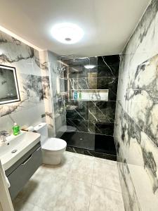 都柏林Modern 2Bedroom Oasis near Dublin city centre & Airport的一间带卫生间和水槽的浴室