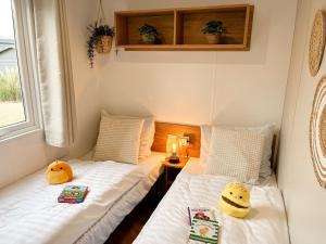 雷讷瑟Ocean Garden Chalet Renesse的小型客房设有两张单人床和窗户。