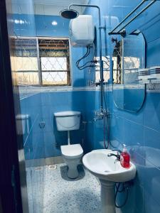 坎帕拉Casa Mia BnB的蓝色的浴室设有卫生间和水槽