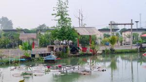 Chai Natเช็คอินรีสอร์ท Check-in Resort的一群建筑和一个池塘,池塘里有很多鸭子