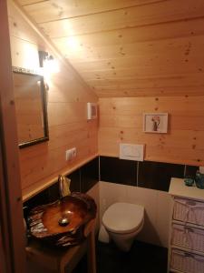 瓦格赖恩Chalet Bergheimat的一间带卫生间和水槽的小浴室