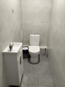Alghabas2-я квартира Алматы Арена ЖК的一间带卫生间和水槽的小浴室