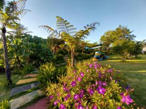 大叻K'Ho Cil Homestay Tà Nung的种有紫色花卉和棕榈树的花园