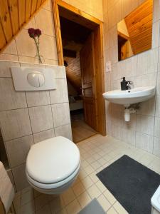 哈卡尼Alma Apartmanház的一间带卫生间和水槽的浴室