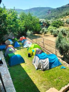 塞尔丘克Efes Hidden Garden Resort Otel的一群帐篷坐在草地上