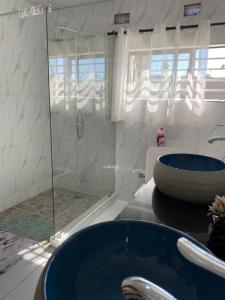 恩多拉Swiss Luxury Apartments的浴室设有2个蓝色水槽和淋浴。