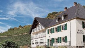 马林诺维德Pension 1595 im Weingut Botzet的白色的建筑,设有绿色百叶窗和山丘