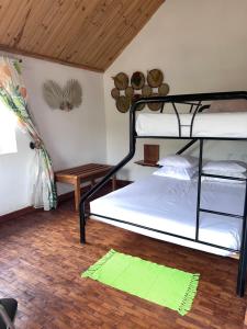 AmbositraLa Sirena Ambositra的卧室配有两张双层床和地毯。