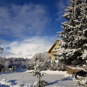 普拉特利艾North Lake Villa Plateliai的雪覆盖的院子,有房子和圣诞树
