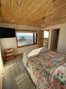 埃尔基斯科Hostal F的一间卧室设有一张大床和一个窗户。