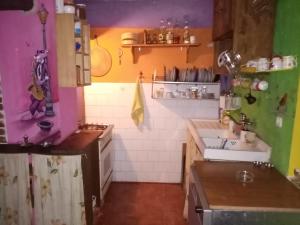 普里莱普Residence "Ana Pletvarska"的一个带水槽和柜台的小厨房