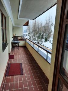 黑马戈尔Sonnleitn AlpinWell Appartment (Ski in&out + Wellness)的客房设有一个享有雪景的阳台。