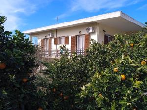 纳夫普利翁Serene Country House (near Ancient Tiryns)的前面有橘子树的房子