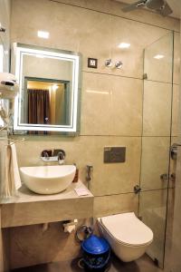 阿格拉Anirudh Homestay的一间带水槽、卫生间和镜子的浴室