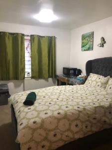 牛津34 Furlong Close的一间卧室配有一张带绿帘的床