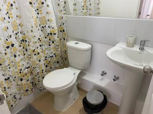 库里科Departamento Full nuevo Curico的白色的浴室设有卫生间和水槽。