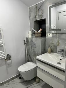 蒂米什瓦拉Gold Tag Apartament的白色的浴室设有卫生间和水槽。