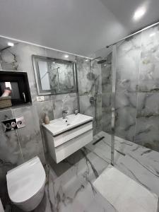 蒂米什瓦拉Gold Tag Apartament的一间带水槽、卫生间和淋浴的浴室