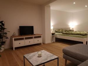 海德堡Modernes und helles Apartment im Loft Stil的一间带床和电视的客厅