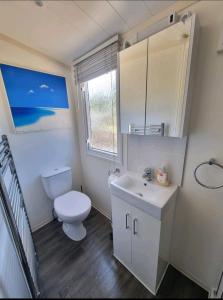帕兹托Seven Sunsets, Padstow的白色的浴室设有卫生间和水槽。