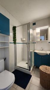 鲁西隆地区卡内Studio et parking avec plage à 350m的带淋浴、卫生间和盥洗盆的浴室