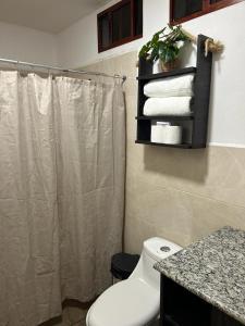 莫约加尔帕Hotel Victoria的带淋浴帘和卫生间的浴室