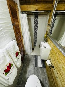 VillalbaPARAISOS DE GABRIELA的一间带卫生间和水槽的小浴室