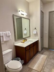 休斯顿Downtown Houston Cozy Queen Suite的一间带卫生间、水槽和镜子的浴室
