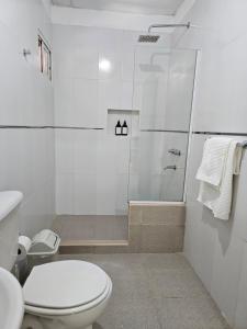 福尔摩沙Pringles Dpto Temporario 2的白色的浴室设有卫生间和淋浴。