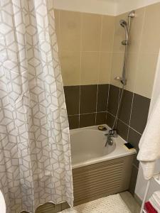 圣丹尼斯F2 St Denis Jardin d'état的浴室配有淋浴帘和浴缸。