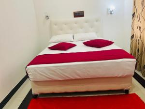 丹不拉Laaya Neem Dambulla的一间卧室配有一张带红色枕头的大床