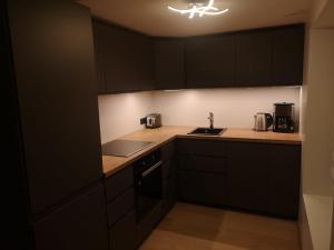 派尔努Suur-Posti Apartments的厨房配有黑色橱柜和炉灶烤箱。