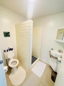 拉罗汤加Muri Villas的一间带卫生间和水槽的浴室
