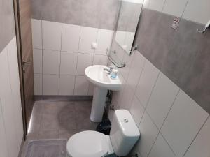 尼基季Porto Almira Studio的一间带卫生间和水槽的浴室