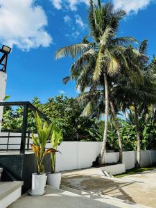 莫阿尔博阿Pig Dive Hostel Moalboal的棕榈树坐在白色围栏旁边