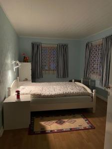 弗洛Fritidsbolig i Flå sentrum的一间小卧室,配有床和2个窗户