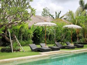 龙目岛库塔Reset Lombok Hotel的一组椅子和遮阳伞,位于游泳池旁