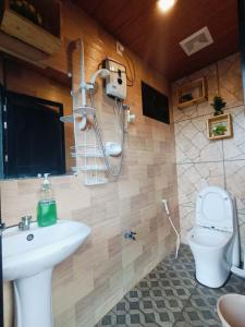碧瑶Holyghost Veranda Baguio Transient Guest House 42 step rooftop的一间带水槽和卫生间的浴室
