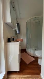 Bonningues-lès-CalaisLe Bungalow的带淋浴、盥洗盆和卫生间的浴室