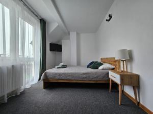弗瓦迪斯瓦沃沃Willa ALBATROSA 9的一间卧室设有一张床和一个大窗户