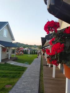 里沃Domki 7 Houses Rewal的人行道上一排满红花的房屋