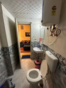 加济阿巴德Royal Ambience的一间带卫生间和水槽的小浴室