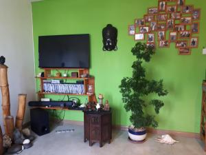 马埃堡L'Allamanda的客厅配有电视和绿色墙壁