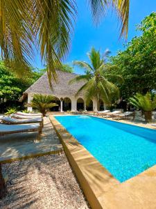 普瓦尼梅查恩加尼Mambo Ocean Resort的度假村前的游泳池