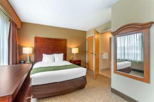 威尔明顿Comfort Suites Wilmington near Downtown的酒店客房设有床和窗户。