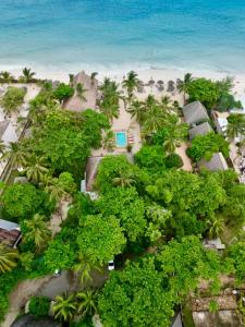 普瓦尼梅查恩加尼Mambo Ocean Resort的海滩上的度假村的空中景致