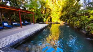 莫迪默勒尚瑞拉乡村Spa酒店的一个带蓝色椅子和树木的水池