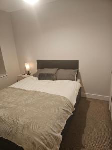 基尔肯尼Cozy 2 Bedroom Apartment的卧室内的一张床位,卧室设有白色的墙壁