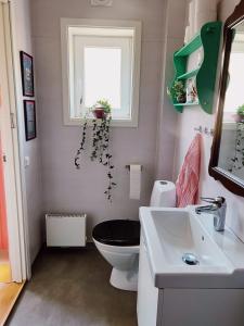 法尔肯贝里Skrea Backe Bo的一间带卫生间、水槽和窗户的浴室